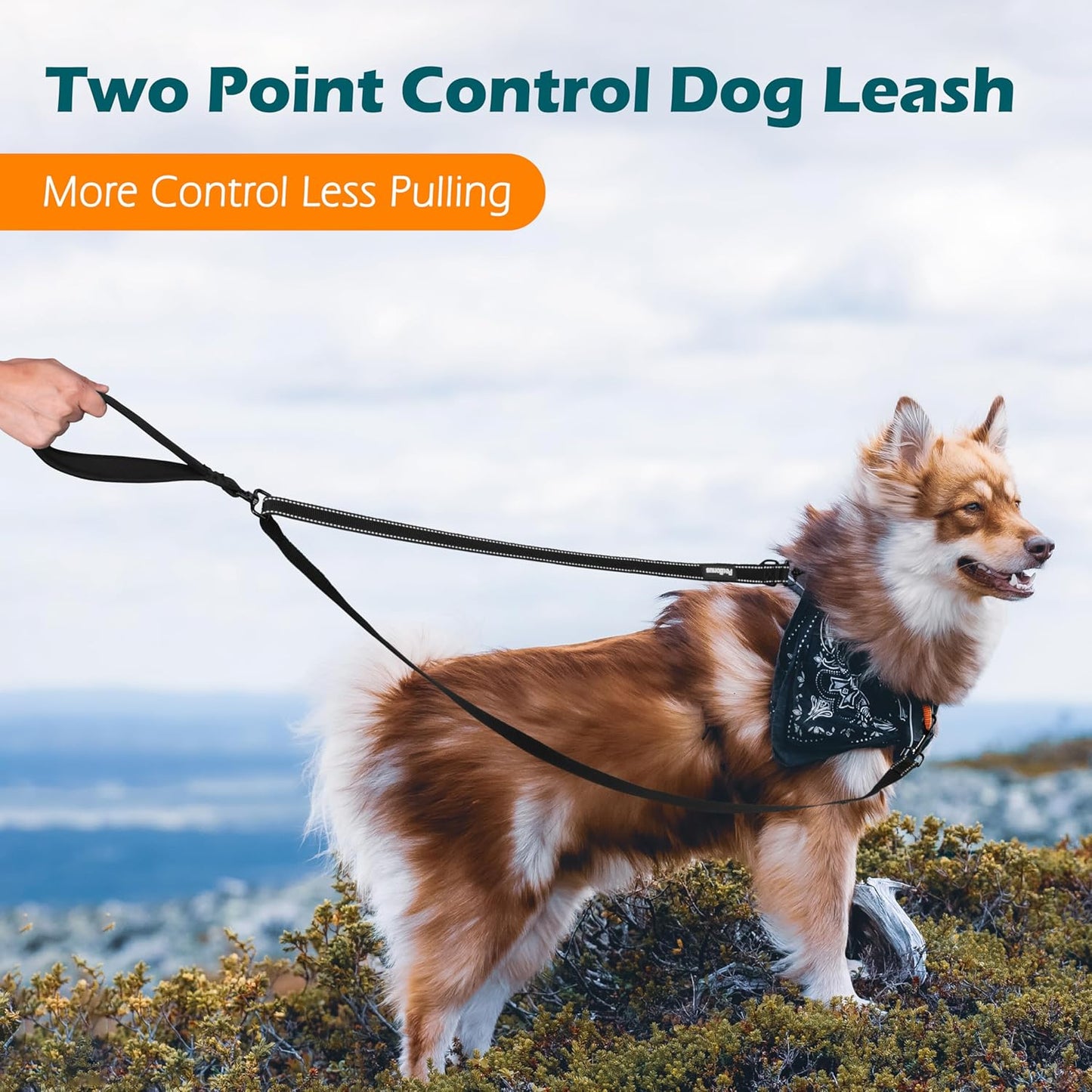 PetBonus Two Point Control Dog Leash, No Tangle Training Walking Leashes