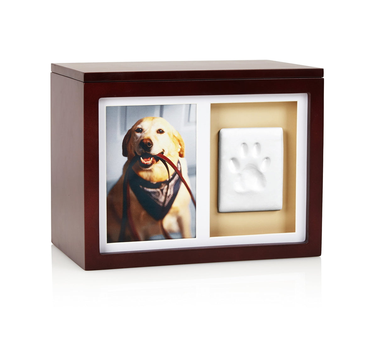 Pearhead Pet Paw Print Frame with Clay Impression Kit, Black Tabletop Frame