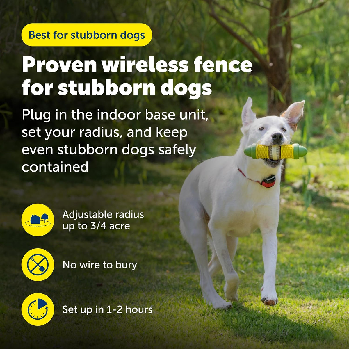 PetSafe Stay & Play Wireless Fence for Stubborn Dogs, Up to 3/4-Acre