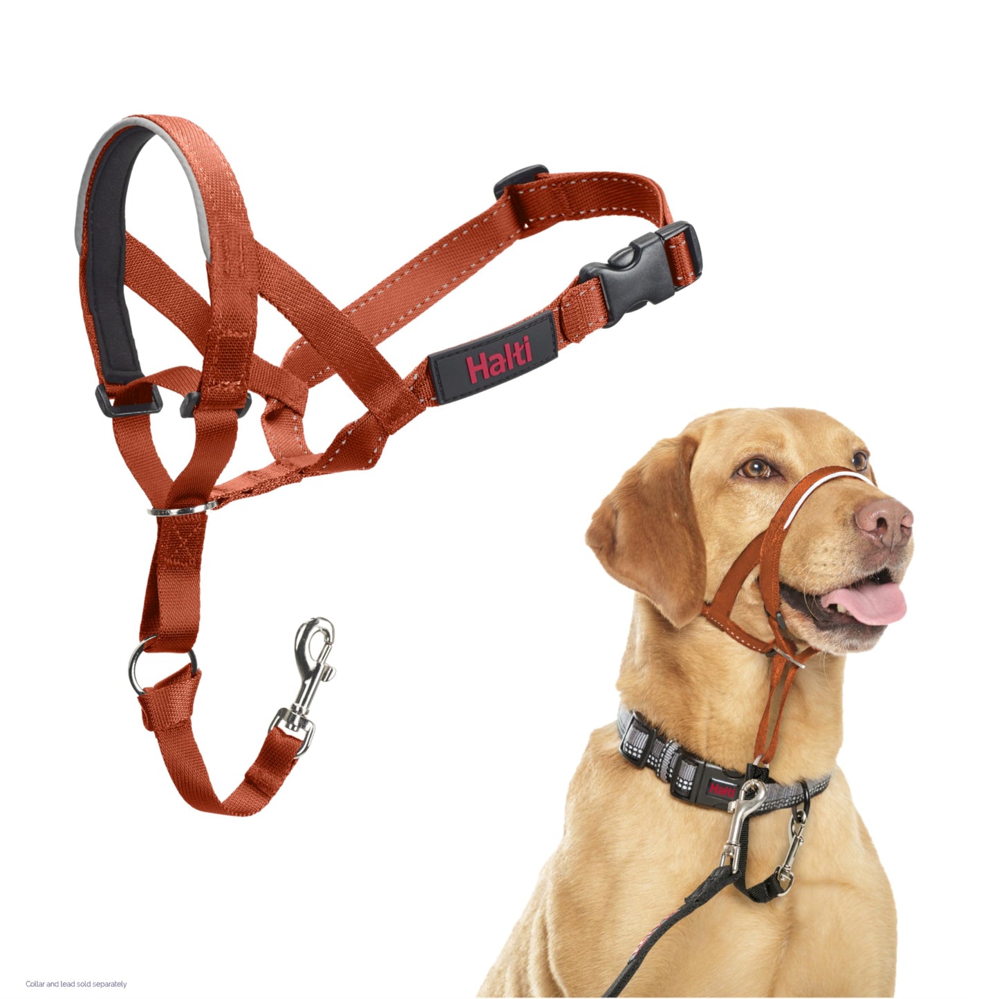 Halti Headcollar | Size 3, Black | Training Collar for Medium Dogs