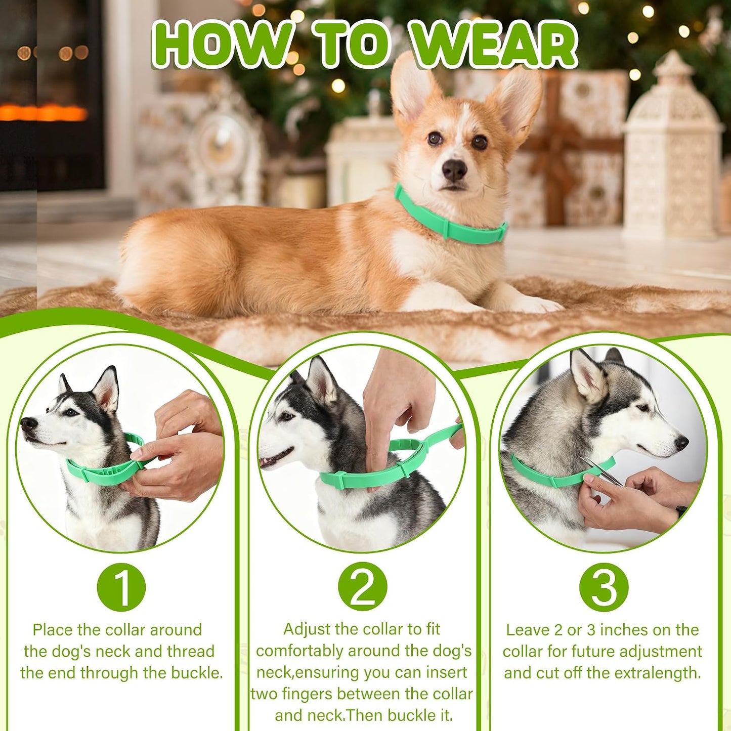 Dog Collar 2packs (Green 2Pack)