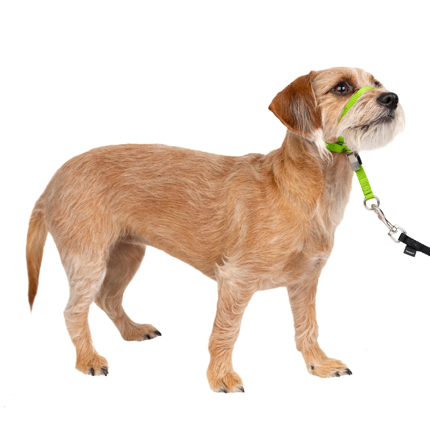 PetSafe Gentle Leader No Pull Dog Headcollar, Black, Large