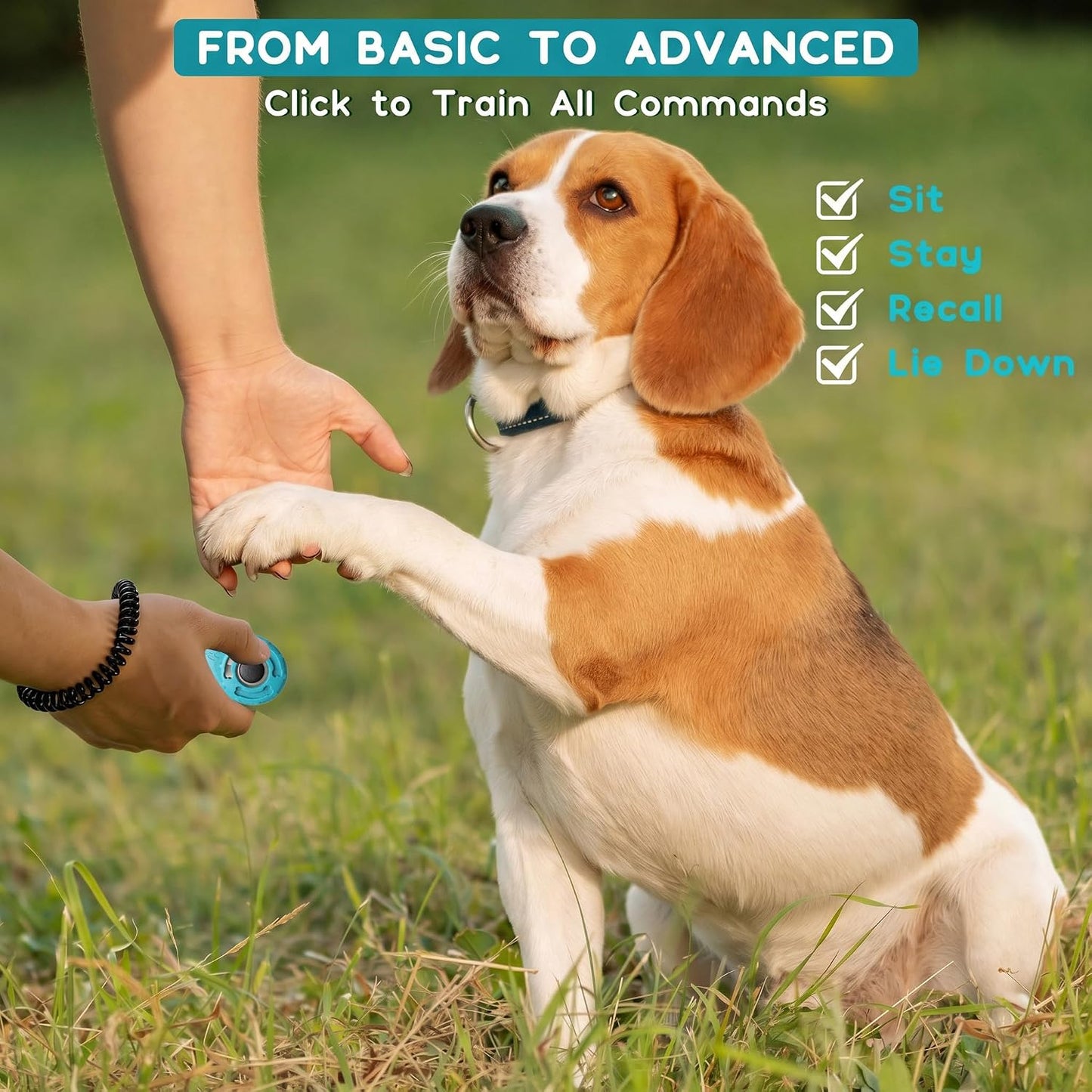Dog Training Clicker with Sring Wrist and Keyring - Pet Dog Training Clickers for Puppy, Cat, Potty, Bird, Horse, Pet, Trainer Training Tools, Behavior Aids