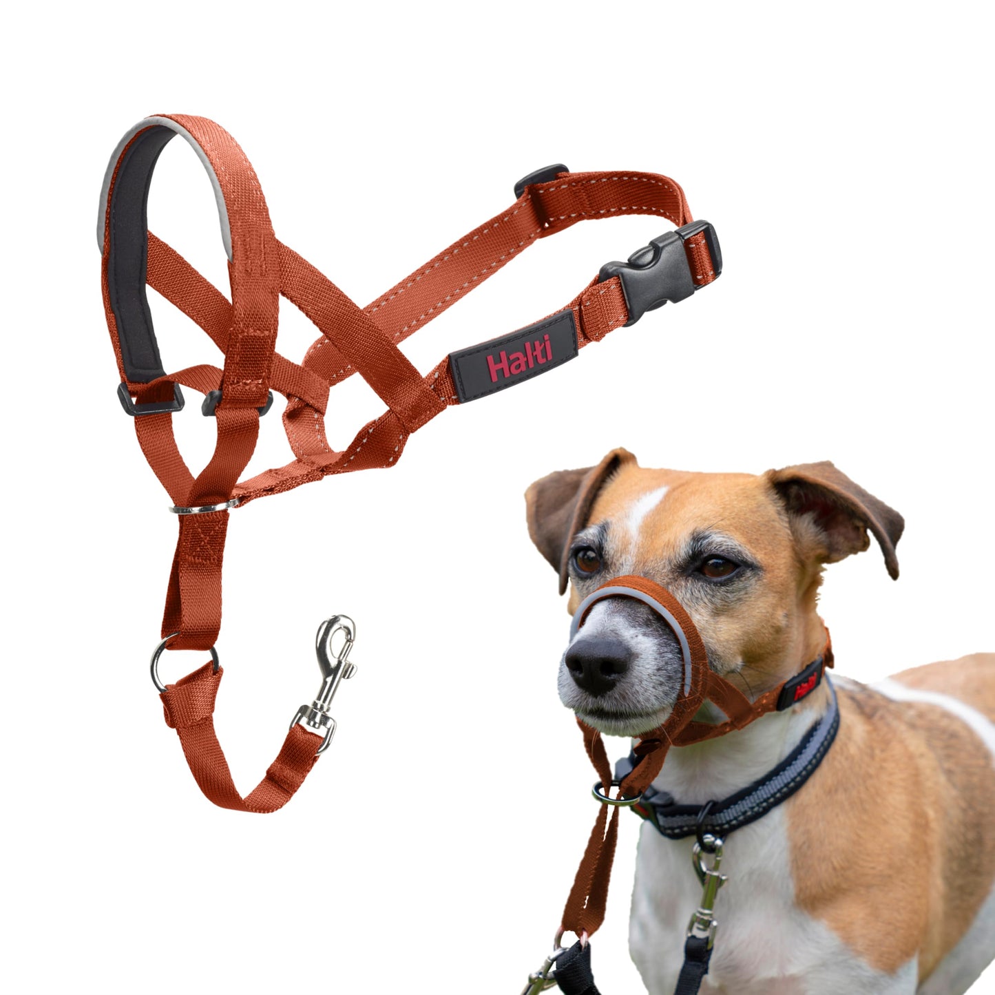 Halti Headcollar | Size 3, Black | Training Collar for Medium Dogs