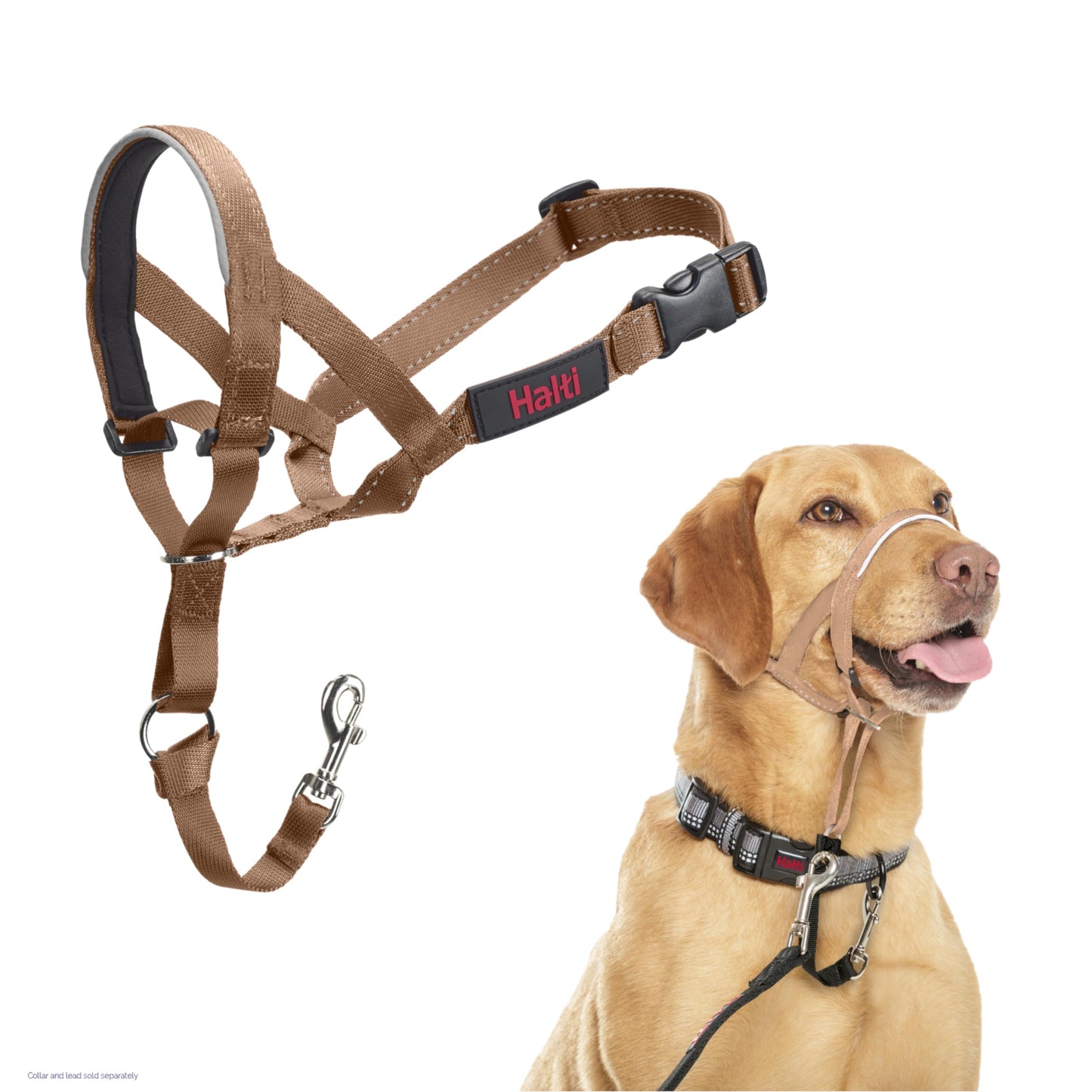 Halti Headcollar | Size 3, Black | Training Collar for Medium Dogs