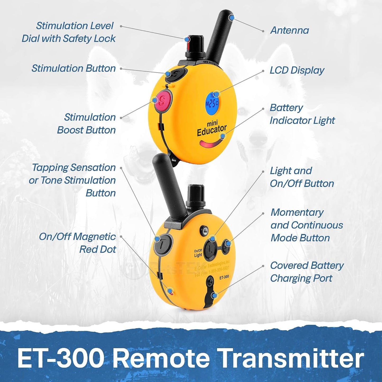 Educator ET-300 Mini E Collar for Dog Training with Remote - 1/2 Mile Range, Waterproof, 100 Blunt Stimulation Levels, Tone or Vibration Mode, Night Light Tracking for Small, Medium & Large Dogs
