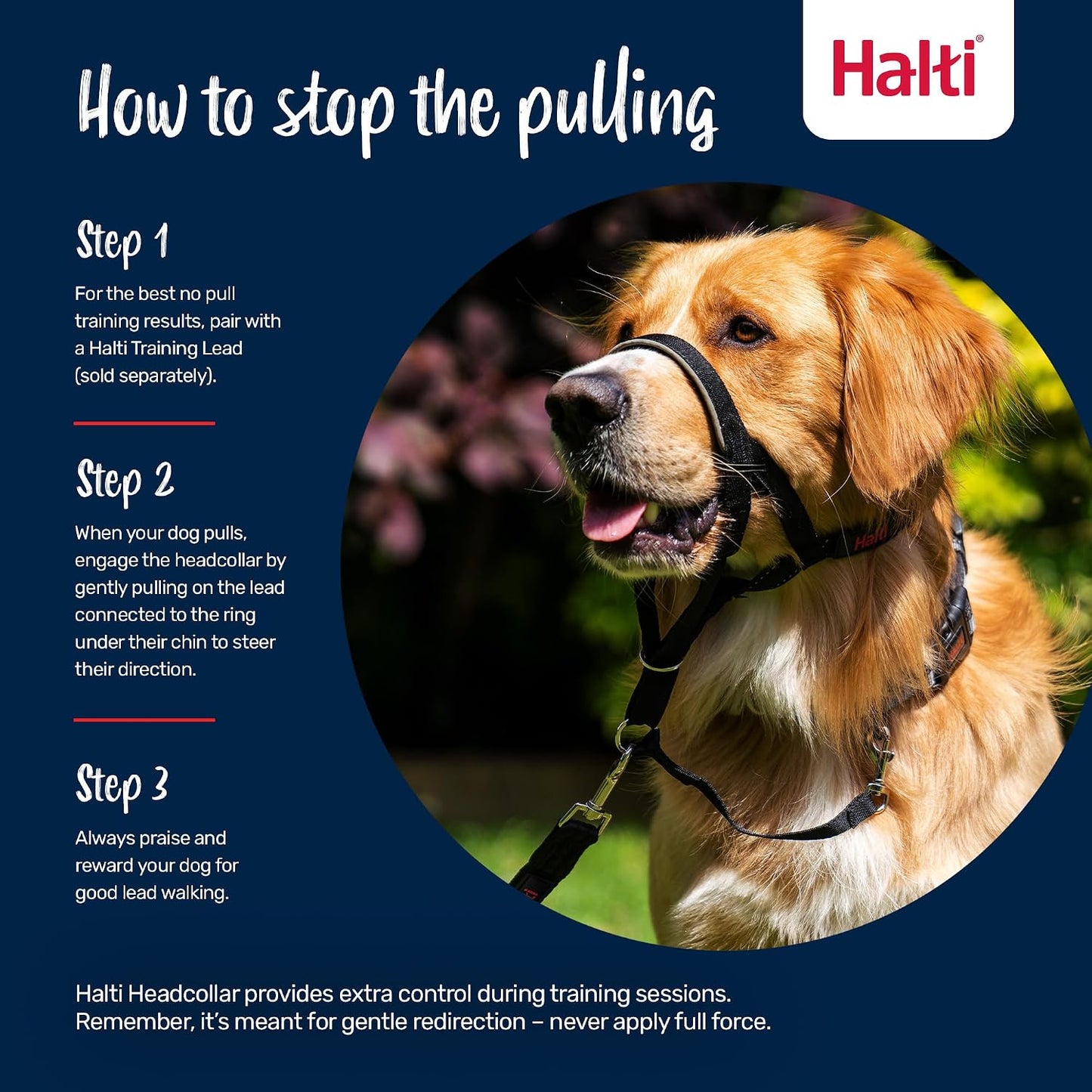 Halti Headcollar | Size 3, Black | Training Collar for Medium Dogs