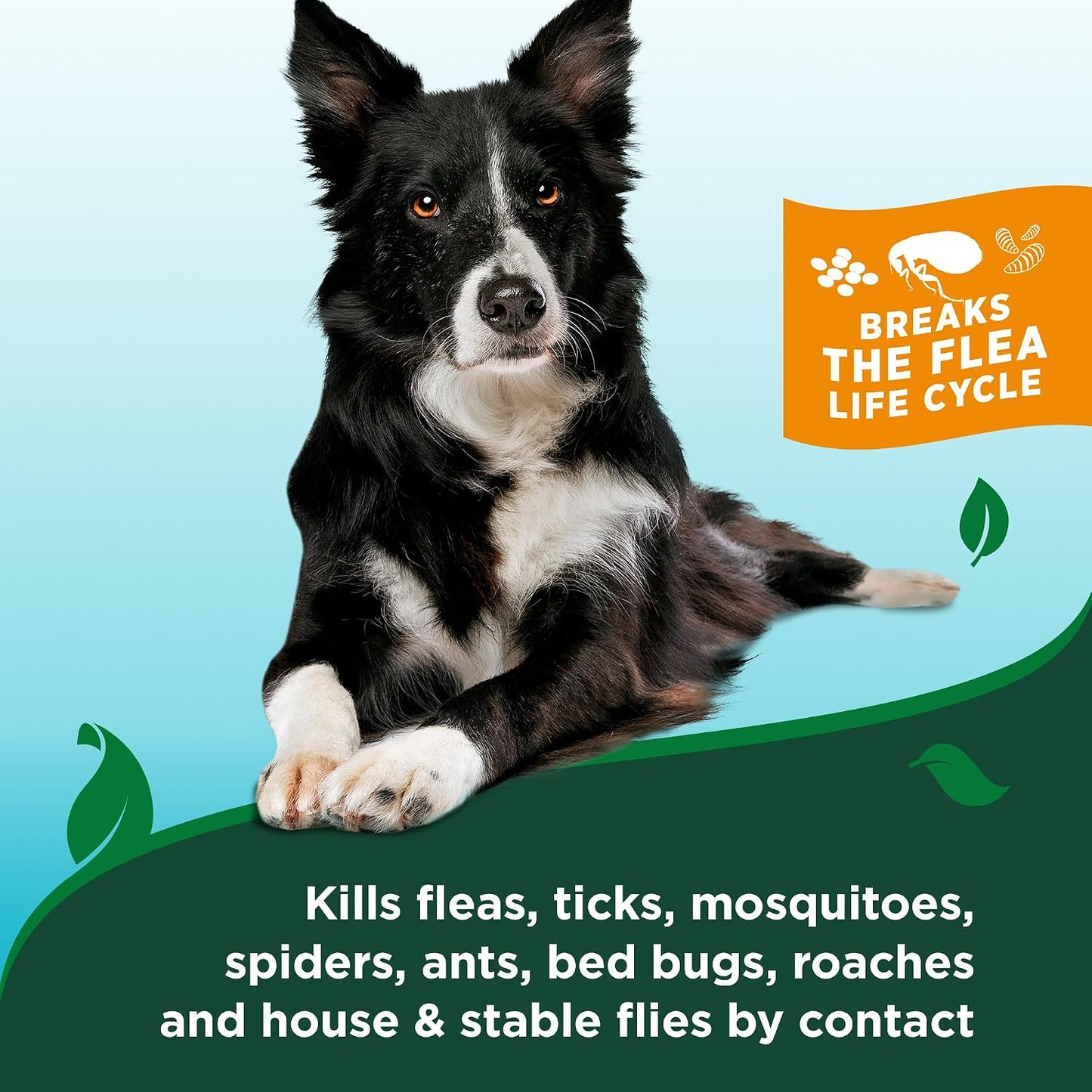 Vet's Best Flea & Tick Shampoo for Dogs, Plant-Based, 12 oz