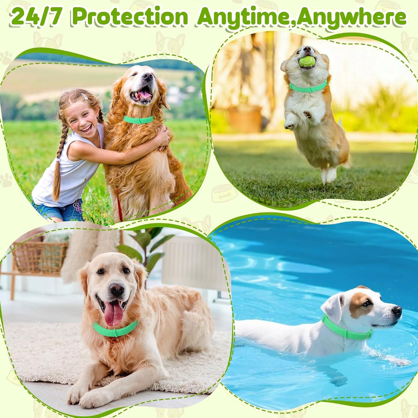 Dog Collar 2packs (Green 2Pack)