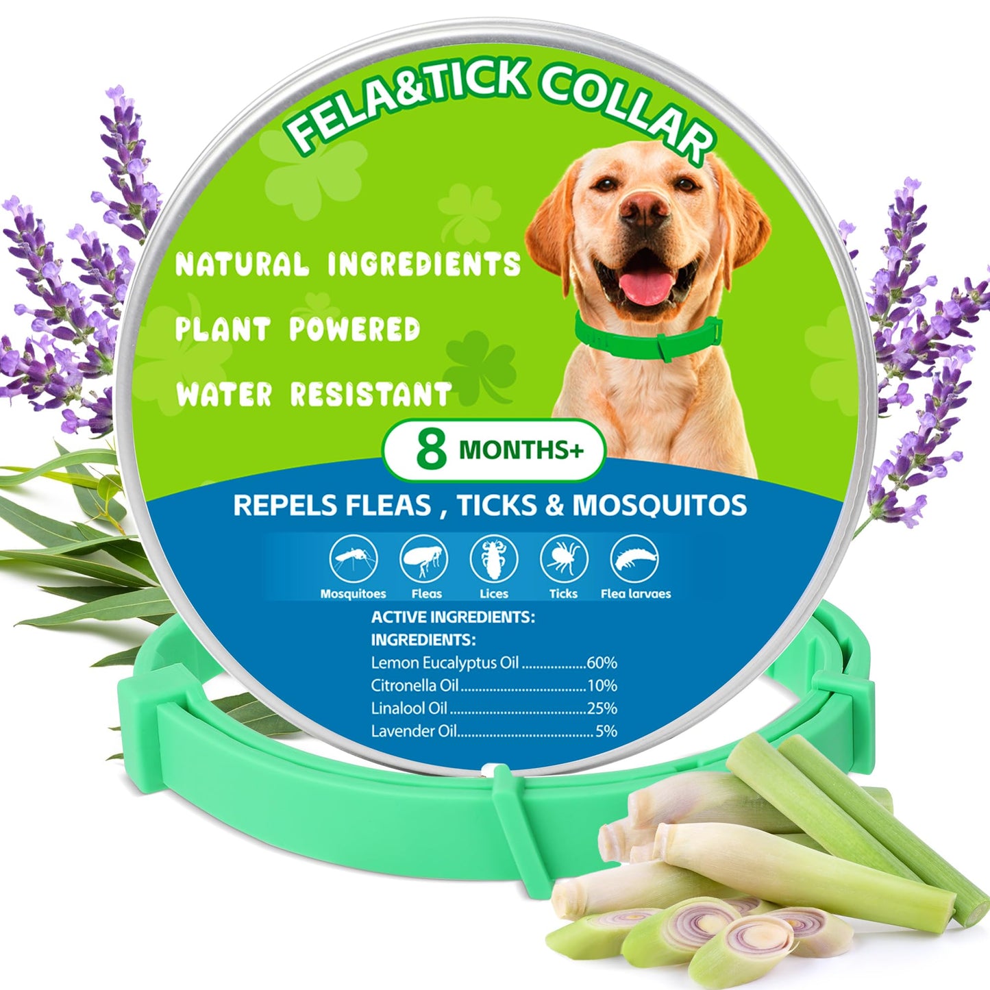 Dog Collar 2packs (Green 2Pack)