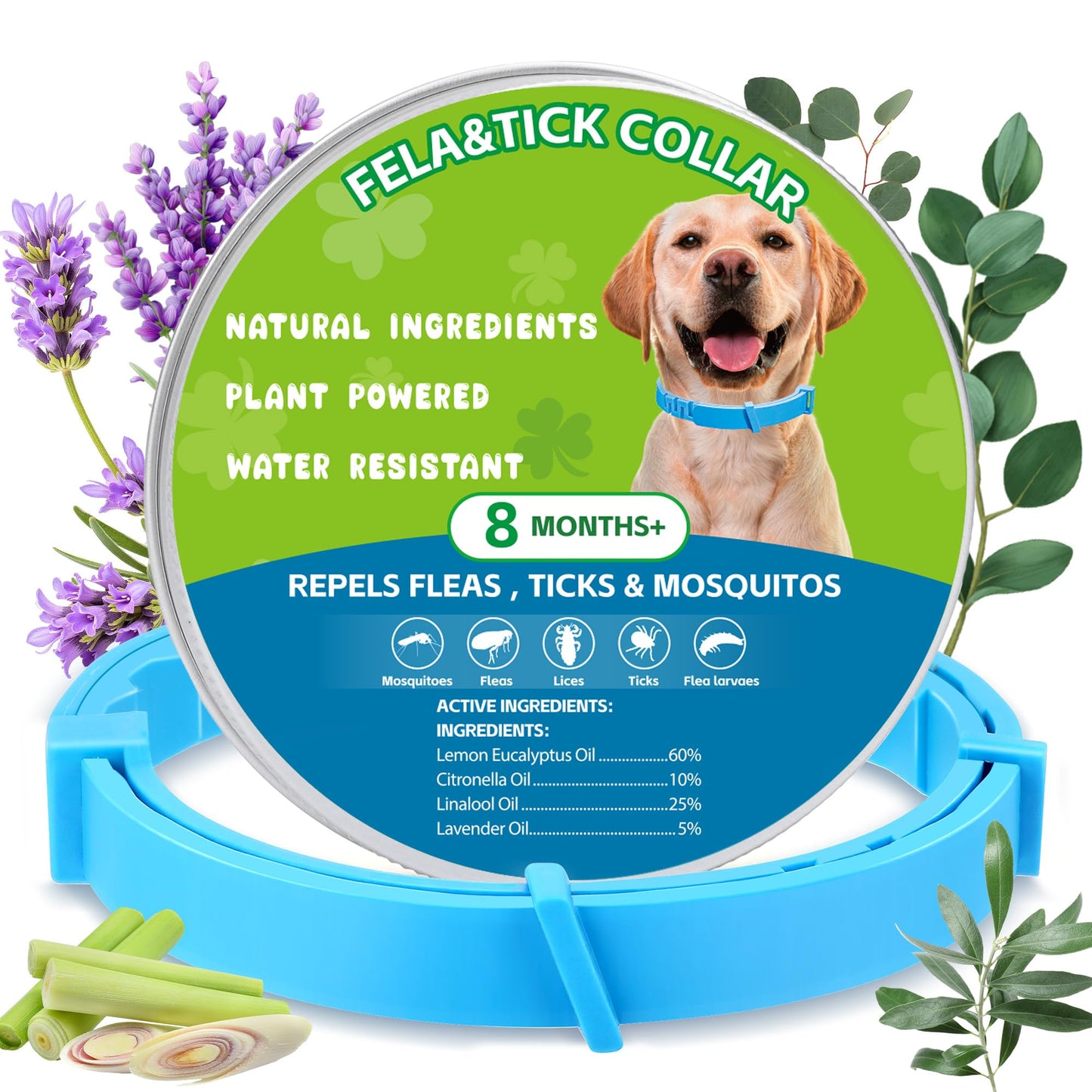 Dog Collar 2packs (Green 2Pack)