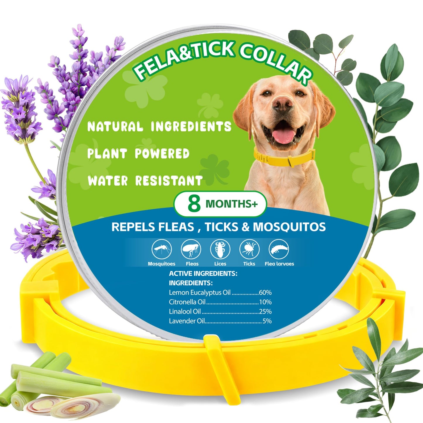 Dog Collar 2packs (Green 2Pack)