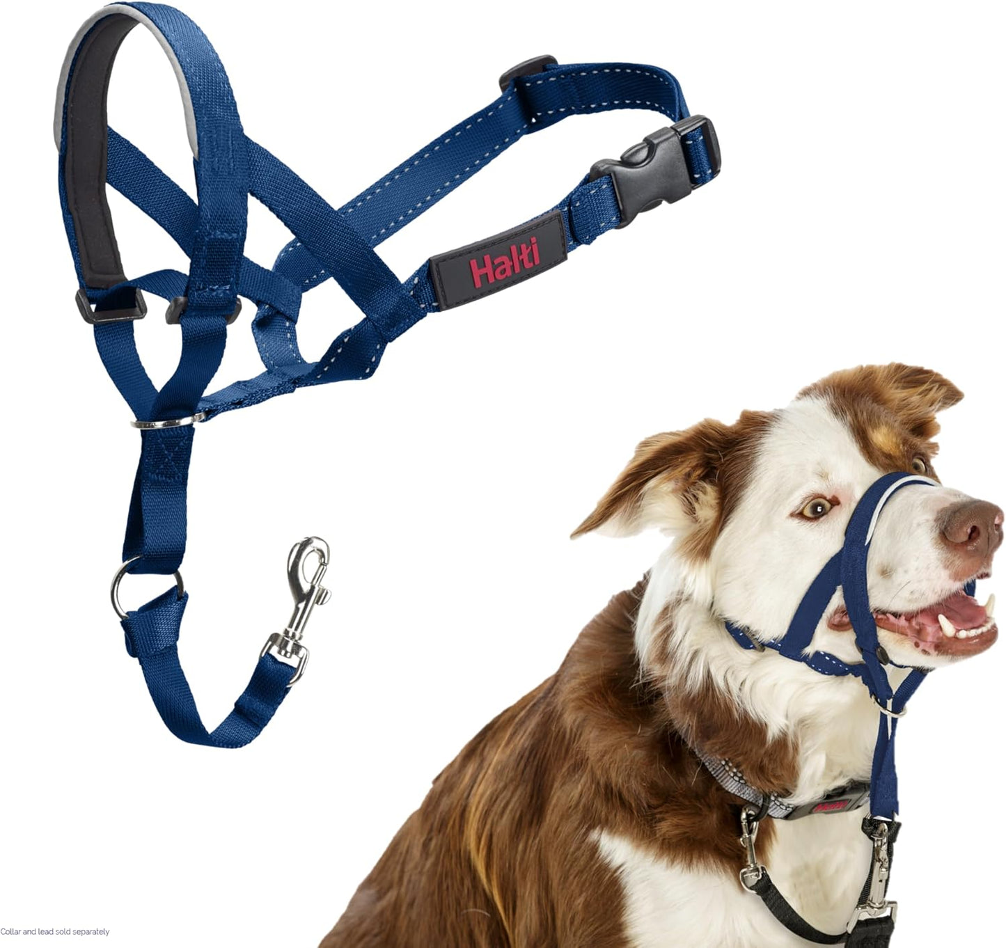 Halti Headcollar | Size 3, Black | Training Collar for Medium Dogs