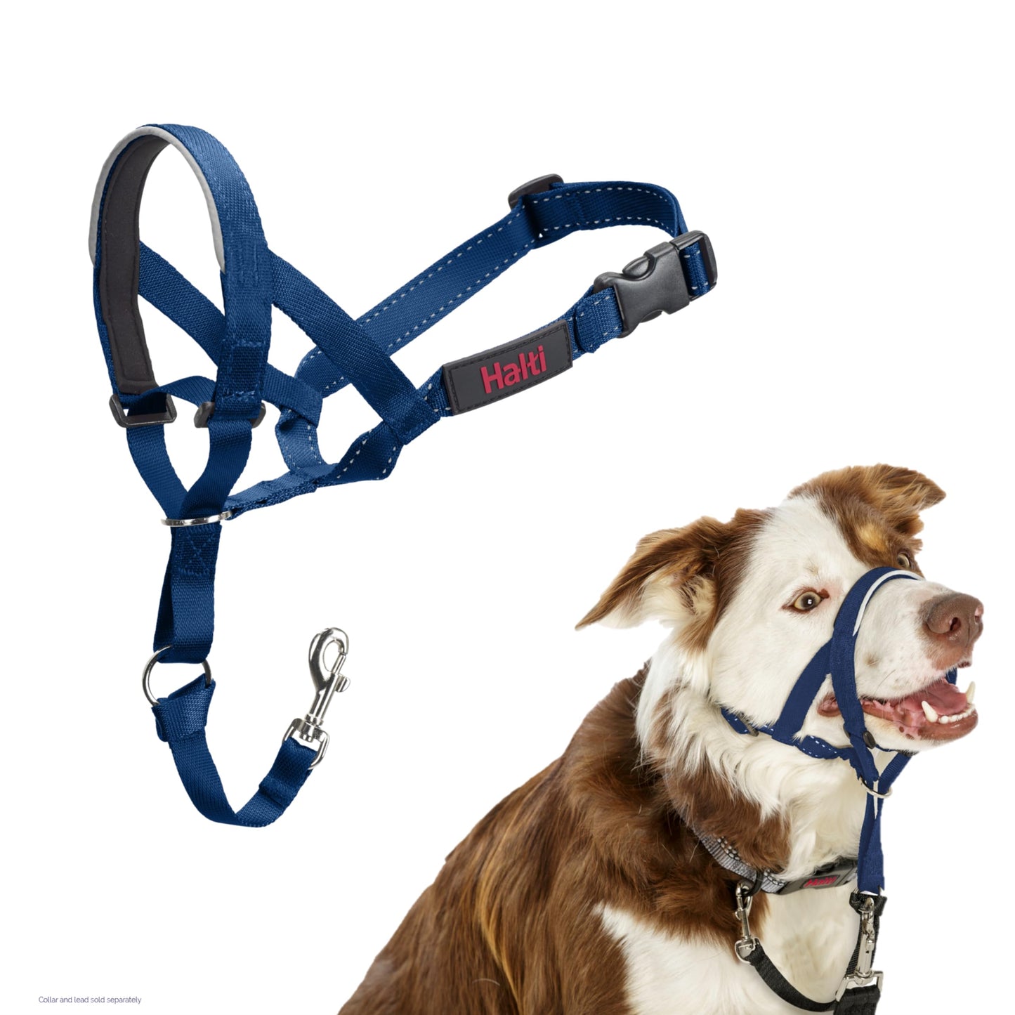 Halti Headcollar | Size 3, Black | Training Collar for Medium Dogs