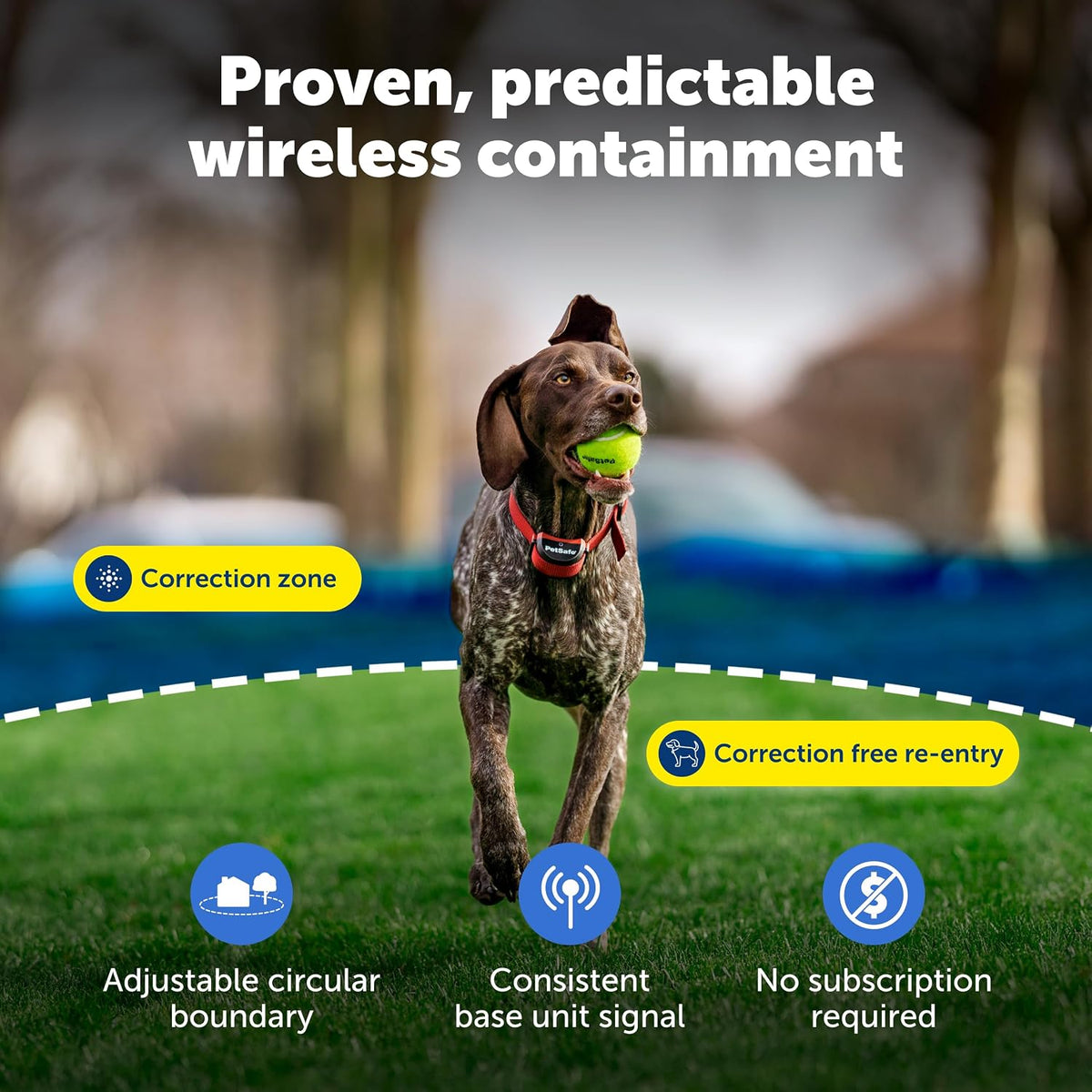PetSafe Stay & Play Wireless Fence for Stubborn Dogs, Up to 3/4-Acre