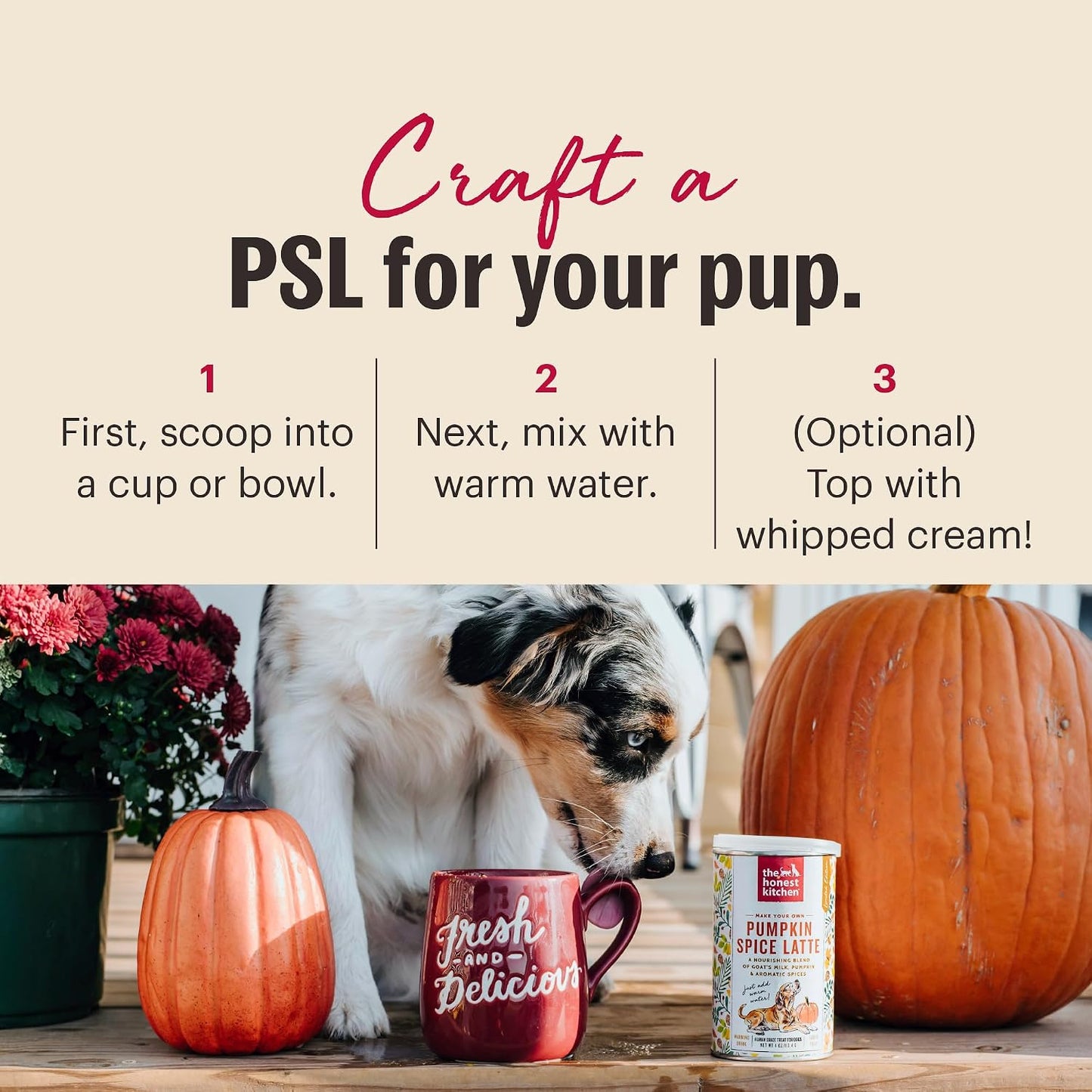 The Honest Kitchen Pumpkin Spice Latte for Dogs & Puppies, Human Grade Goat’s Milk Powder with Pumpkin, Cinnamon & Ginger, Daily Hydration Meal Topper & Digestive Support, 4 oz Canister