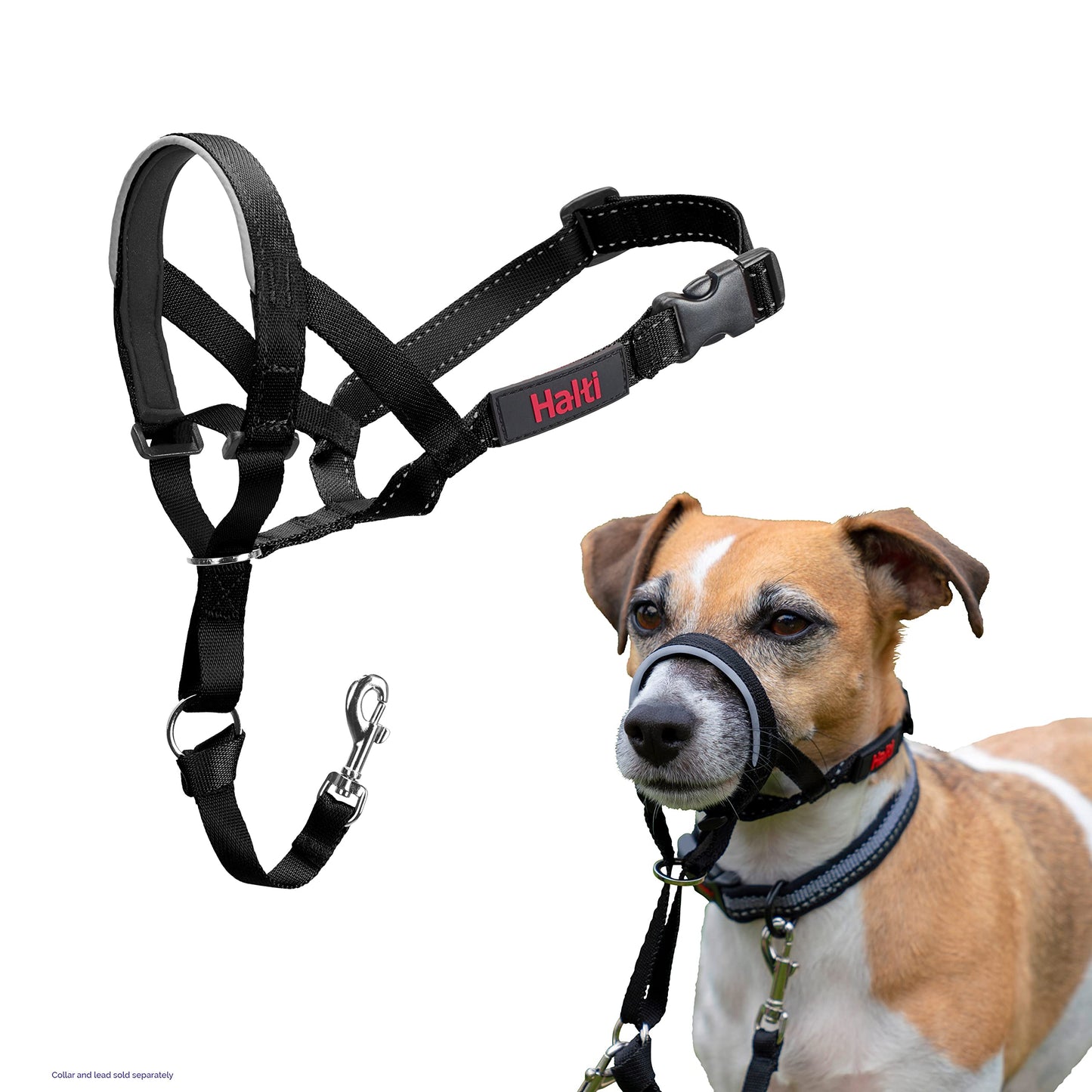 Halti Headcollar | Size 3, Black | Training Collar for Medium Dogs