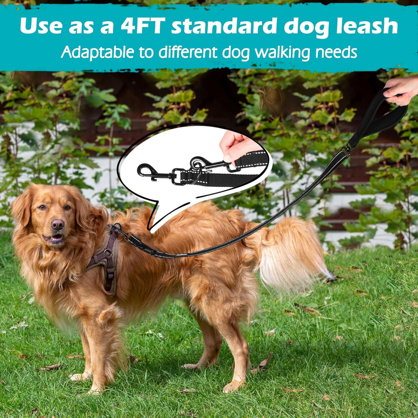 PetBonus Two Point Control Dog Leash, No Tangle Training Walking Leashes