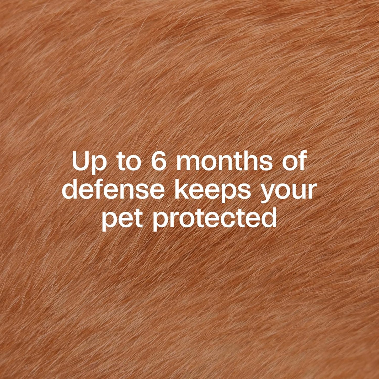 ADAMS Flea & Tick Collar for Dogs & Puppies, Flea Collar for 12 Month Prevention, Kills Fleas, Ticks & Repels Mosquitoes, Excluding California, One Size Fits All Dogs & Puppies, 2 Count
