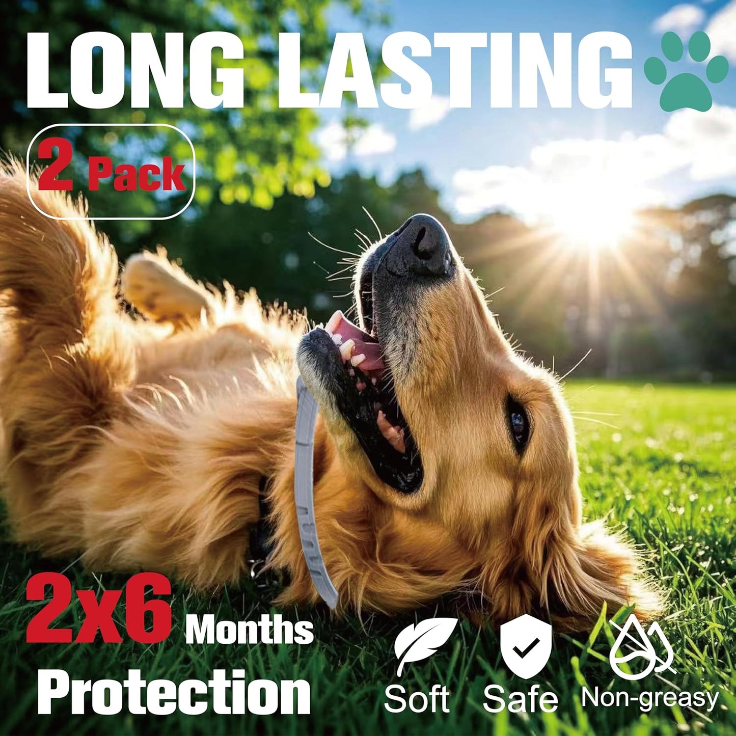 Flea Collar for Dogs, Dog Flea and Tick Treatment & Prevention, 2 Collars