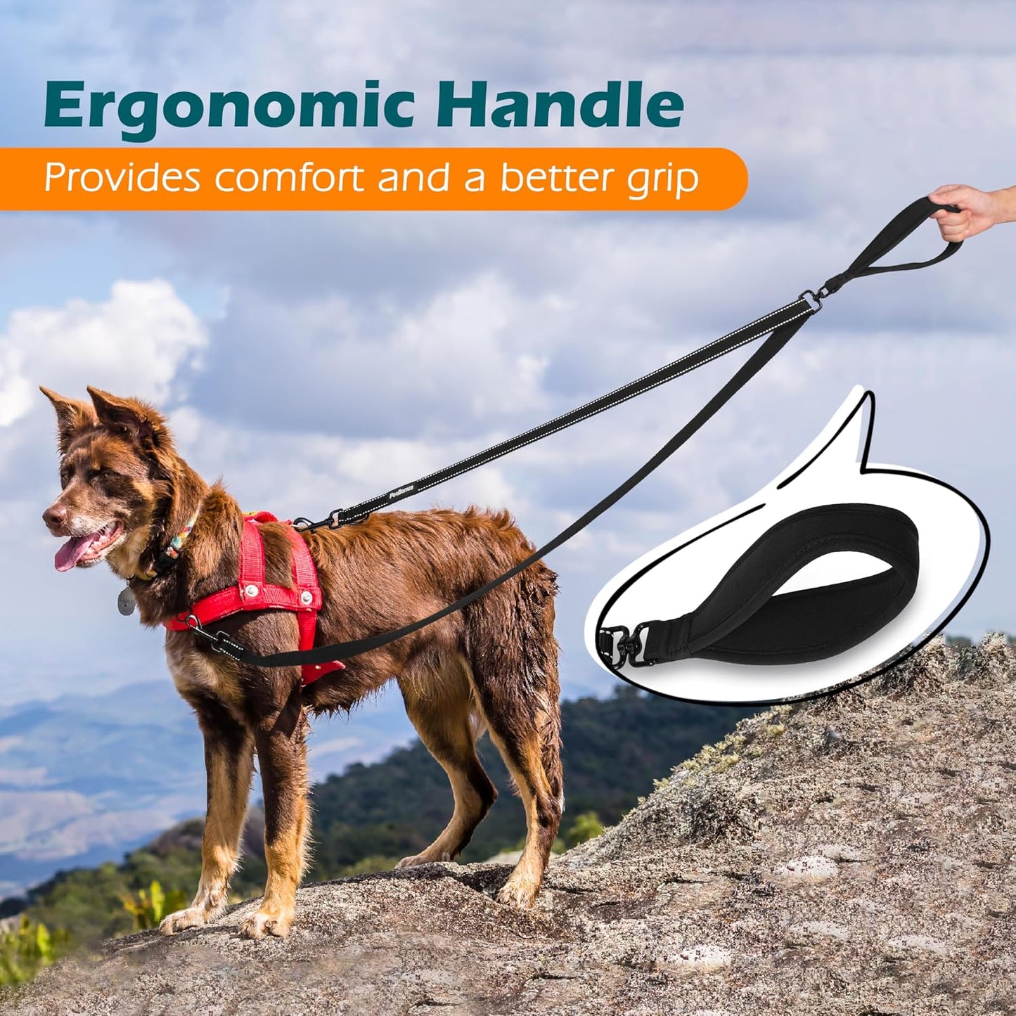 PetBonus Two Point Control Dog Leash, No Tangle Training Walking Leashes